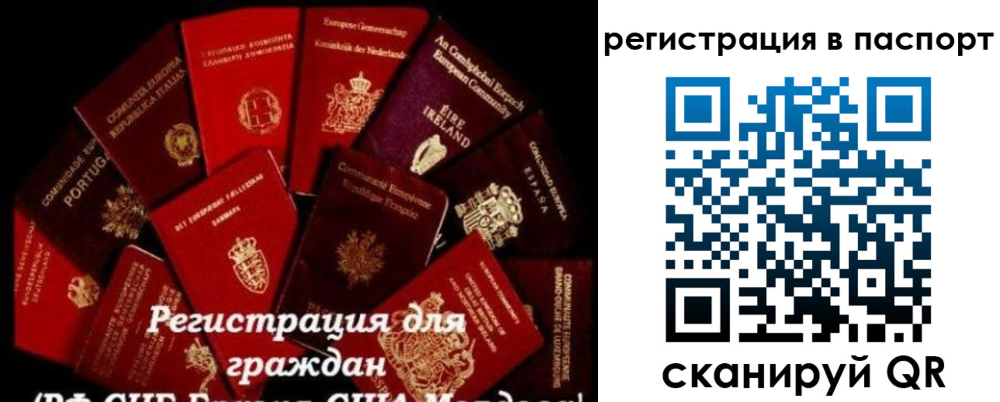 миграционный учет в Мариинском Посаде